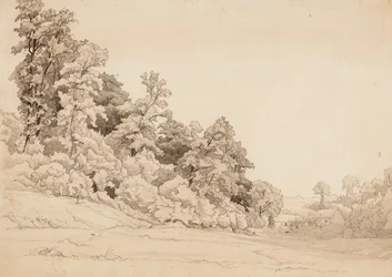 Paysage, versant de colline