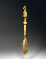 Chasse-mouches, Bénin