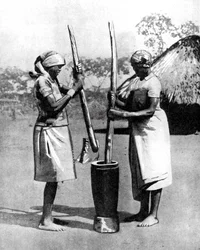Deux femmes Mashona pilant du maïs et du millet, Zimbabwe, Afrique, 1936