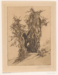 Arbre creux à Seelisberg en Suisse