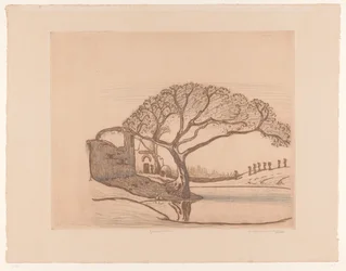 Maisons, arbre près d