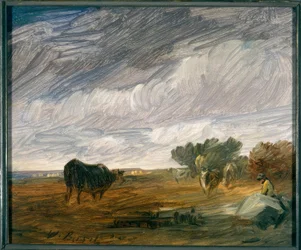 Dans le pré
