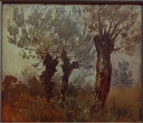 Trois vieux saules