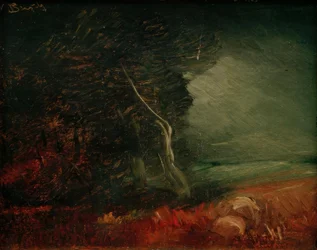 Bord de forêt sombre (Feu de pommes de terre)