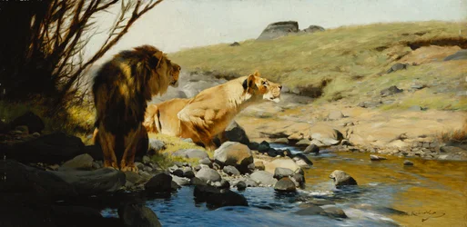 Un lion et une lionne à un ruisseau