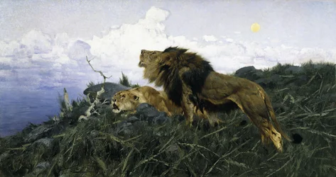 Lions au crépuscule