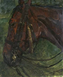 Tête de cheval
