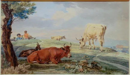 Paysage de pâturage de la Haute-Bavière