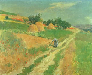 Cueillir des fleurs sauvages