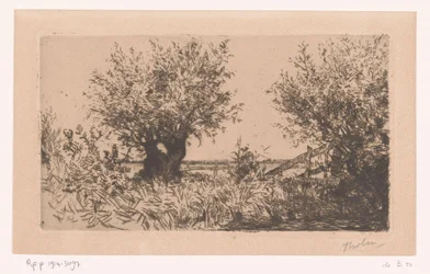 Paysage avec prairie, saules têtards et clôture