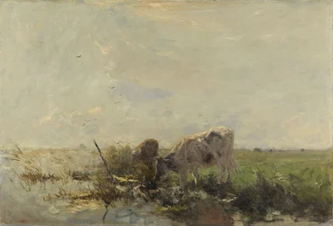 Vaches au bord d