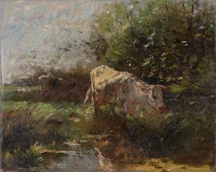 Prairie avec vaches