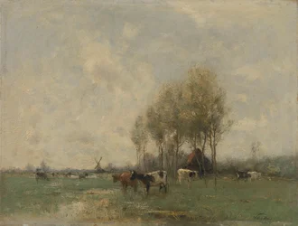 Prairie avec des vaches
