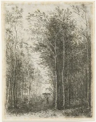 Paysage forestier avec ramasseurs de bois
