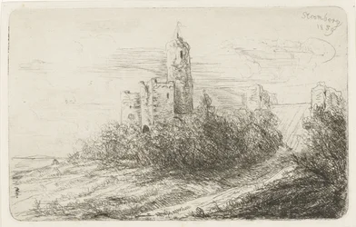 Ruine du château de Stromberg