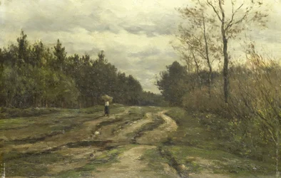 Route de campagne près de Laren (province de Hollande-Septentrionale)