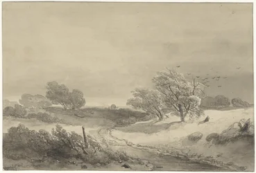 Paysage de dunes par temps sombre