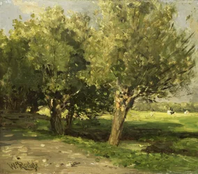 Saules