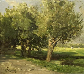 Les saules