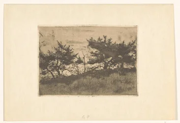 Arbres sur une colline