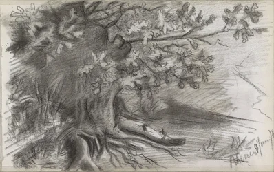 Paysage avec un grand arbre à Rhenen