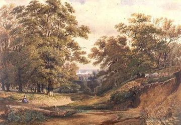 Scène dans le bois de Bagley près d