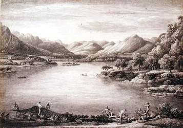Vue de la tête d