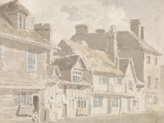 Rue à Maidstone