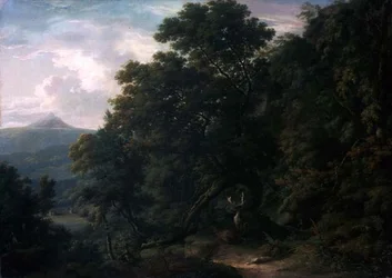 Vue du domaine de Powerscourt