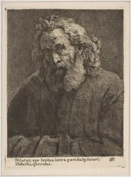 Vieil homme avec une longue barbe, 1761