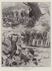 Une journée avec les chiens de loutre de Culmstock