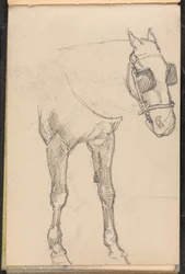 Esquisse de cheval avec œillères