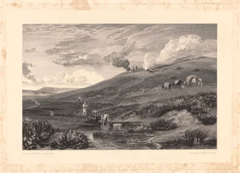 Dartmoor; Source du Tamar et du Torridge