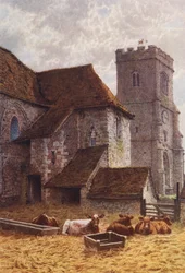 Vestiges du Palais de l