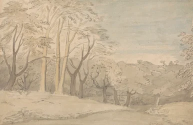 Paysage boisé