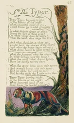 Poème intitulé « Le Tigre », écrit par William Blake