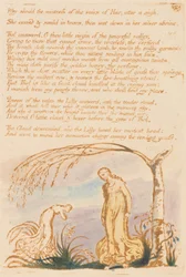 Le livre de Thel, planche 4, Pourquoi la maîtresse...