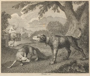 Le chien et le renard