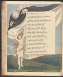 Les pensées nocturnes de Young, page 46, "Où le sens court sauvage échappé de la chaîne de la raison"