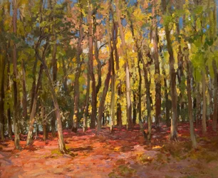 Le bois des sorcières