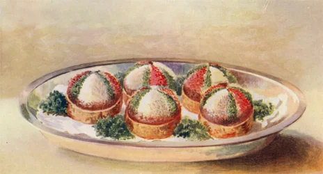 Aigrettes de saumon froid