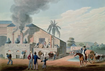 Les esclaves se mettent au travail pour produire du rhum à la distillerie, Antigua