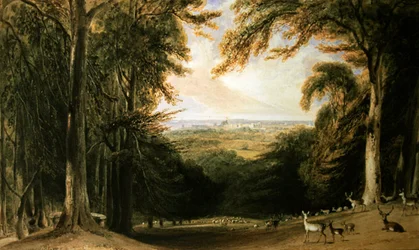 Paysage boisé, Windsor