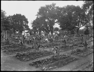Enfants travaillant dans le jardin de l