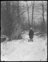 William Gray Hassler tirant son traîneau à travers les bois enneigés, vers 1912