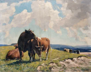 Downland