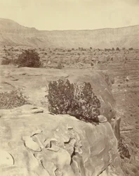 Plateau, au nord du Grand Canyon
