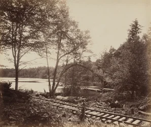Lac de hêtres