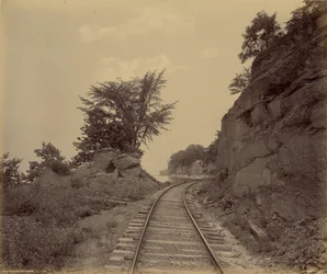 Lac Cayuga, Cat