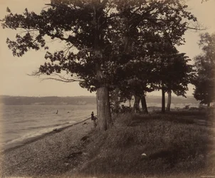 Lac Cayuga, Sheldrake